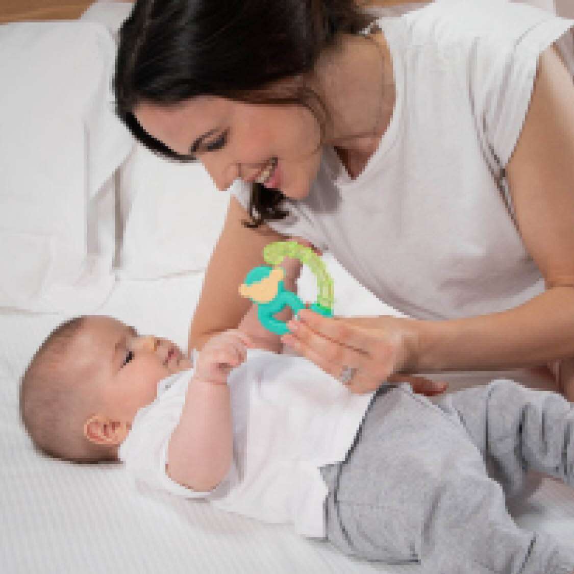 Chicco tann/kæli hringur  Api/Letidyr +4