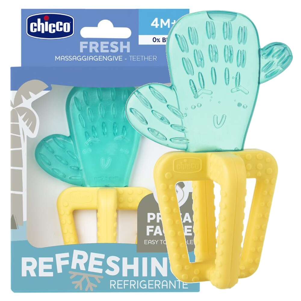 Chicco Tann/kæli hringur 4M+ Kaktus
