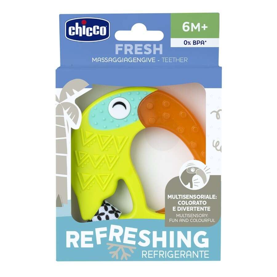 Chicco Tann/kæli hringur 6M+ Fugl